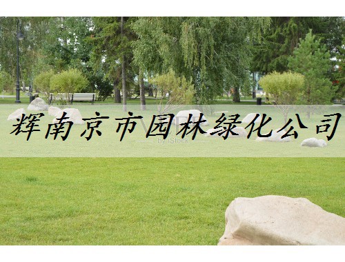 辉南京市园林绿化公司