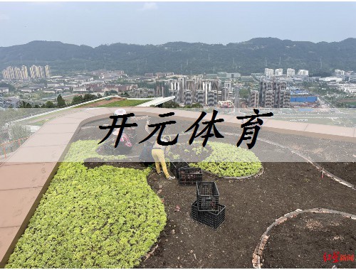 蚌埠园林绿化工程公司姜伟简历