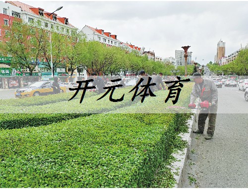 涿州园林绿化苗木标准