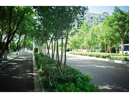 德惠城市绿化养护的重要性